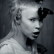 Die Antwoord